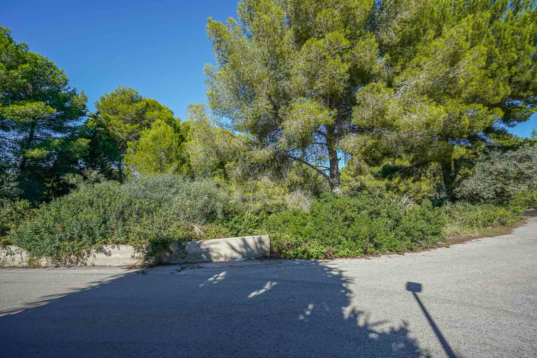 Hoekperceel met volwassen pijnbomen en dichte mediterrane vegetatie, begrensd door een lage betonnen muur langs een rustige geasfalteerde straat.