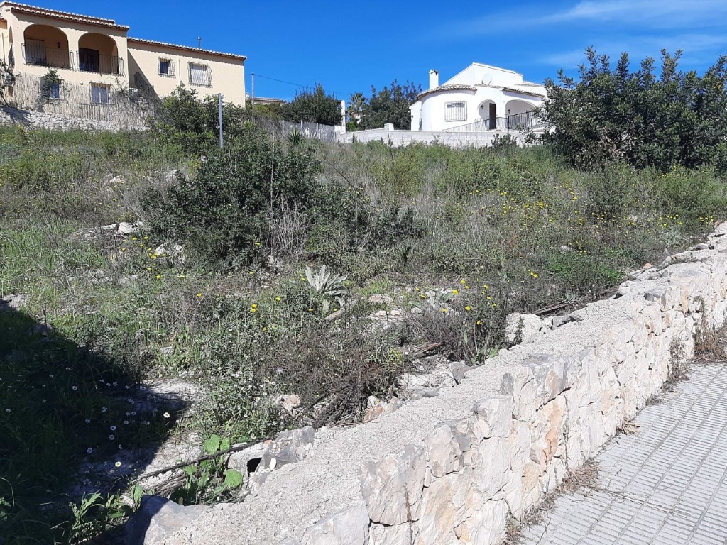 Verhoogd perceel met een natuurstenen keurmuur en wilde mediterrane begroeiing, gelegen aan een betegeld trottoir met uitzicht op omliggende woningen.