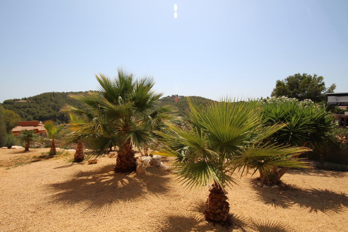 Onderhoudsvriendelijke mediterrane tuin met palmbomen en yucca's op grind, met vrij uitzicht op de omliggende groene heuvels.