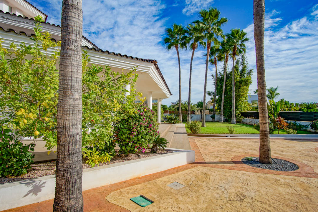 Exterieur van de koloniale villa met een volgroeide tuin, hoge palmbomen, een citroenboom en een oprit van gestempeld beton langs de witte gevel.