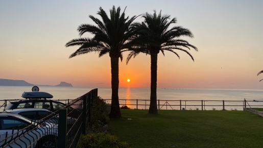 Panoramisch uitzicht op de zonsondergang over de Middellandse Zee vanaf de tuin, met silhouetten van volwassen palmbomen en de kustlijn.