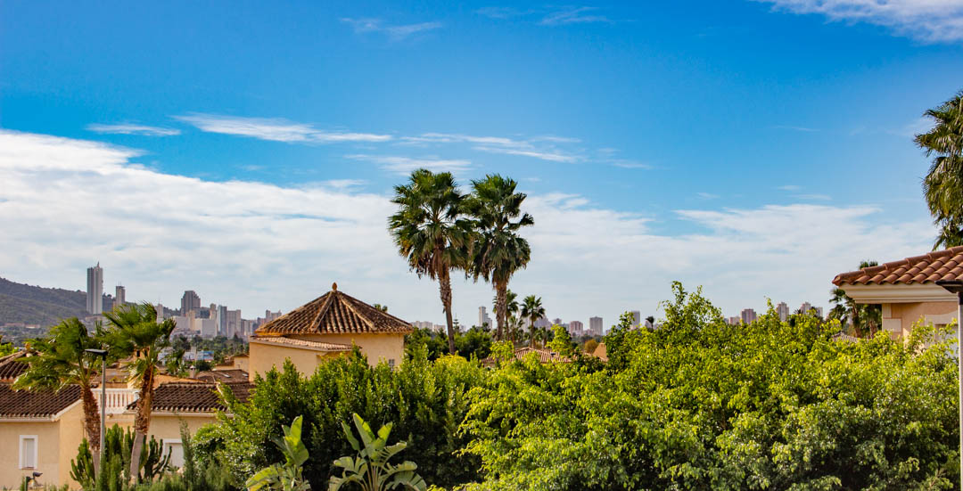 Panoramisch uitzicht vanaf het pand op de skyline van de stad, omgeven door volwassen palmbomen, weelderig groen en mediterrane daken onder een blauwe lucht.