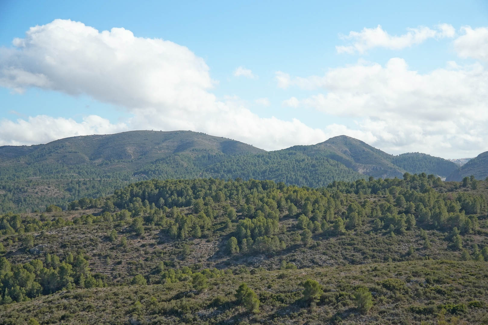 Panoramisch uitzicht op de omliggende bergen van Pedreguer, met dichte mediterrane dennenbossen onder een heldere, licht bewolkte hemel.