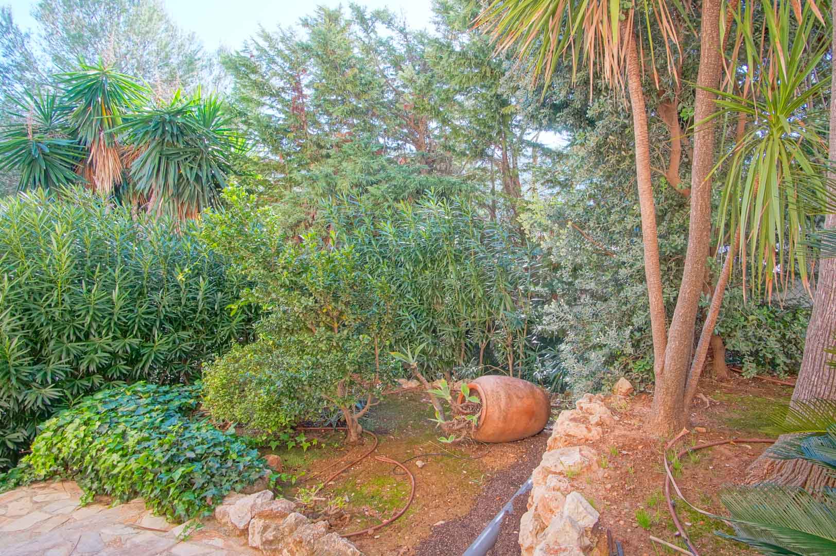 Mediterrane tuin met volwassen beplanting, palmen en struiken. Een decoratieve terracotta amfora ligt naast een natuurstenen border en een geplaveid pad.