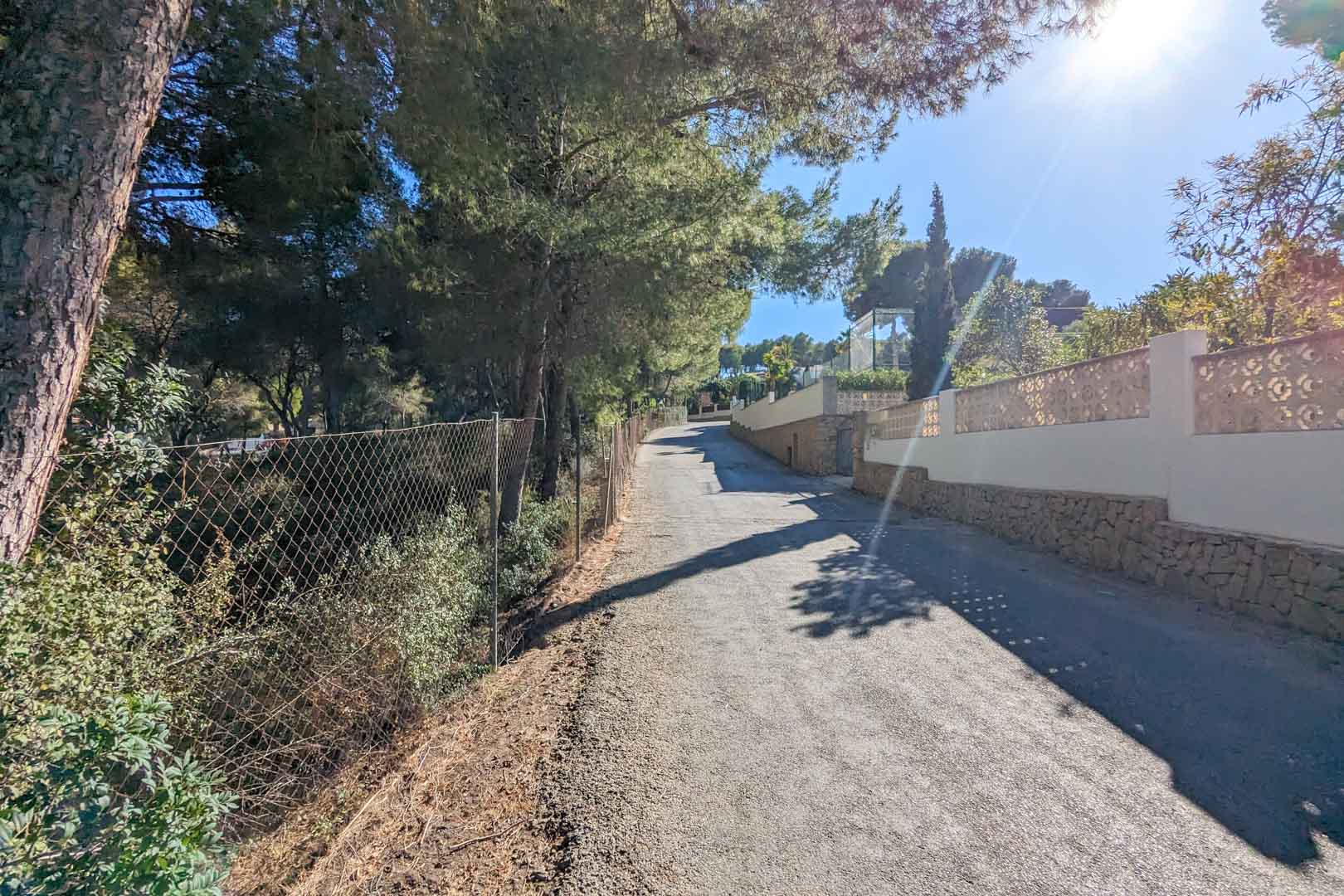 Geasfalteerde toegangsweg omzoomd door volwassen pijnbomen en een natuurstenen omheiningsmuur met decoratief traliewerk in Moraira.
