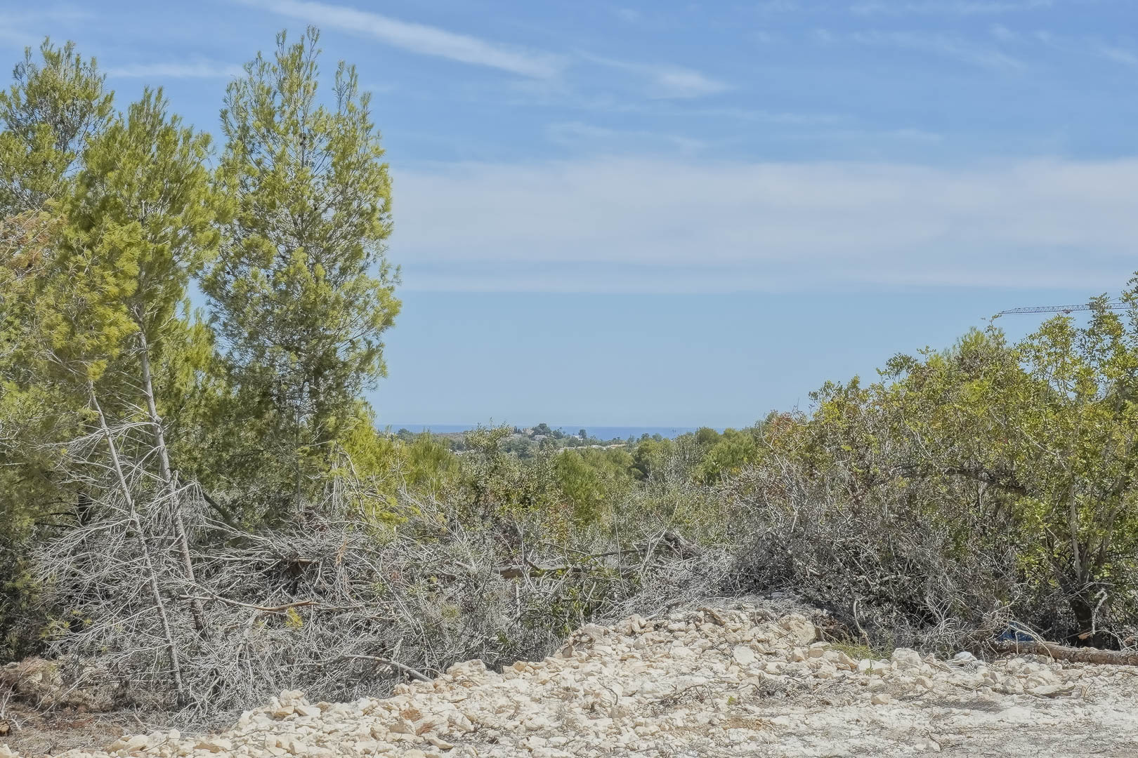 Panoramisch uitzicht vanaf het verhoogde perceel op de Middellandse Zee, omgeven door inheemse dennenbomen en natuurlijke vegetatie onder een heldere hemel.