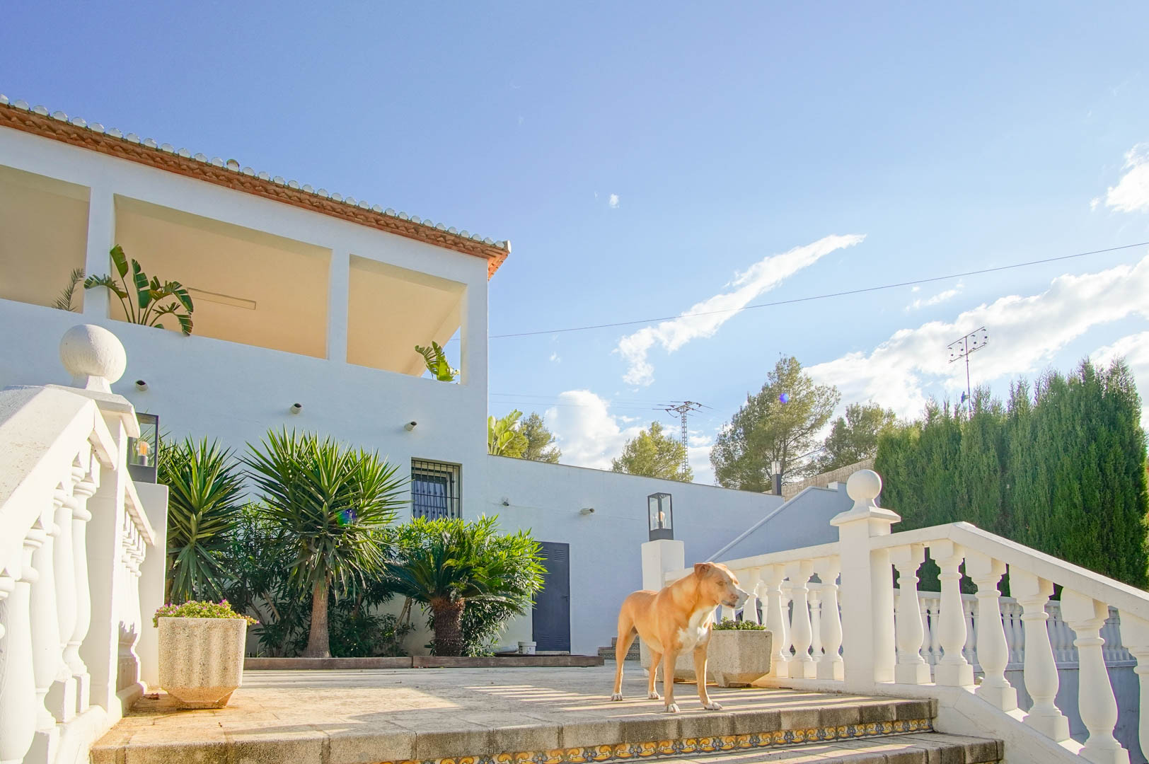 Buitenaanzicht van de villa met witte balustrades, een stenen terras en mediterrane beplanting waaronder yucca's en palmen onder de zon van Dénia.
