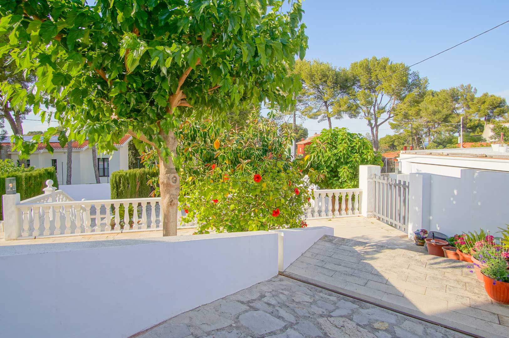 Buitenterras met een klassieke witte balustrade, stenen bestrating en weelderig mediterraan groen, inclusief bloeiende hibiscus en volwassen bomen.
