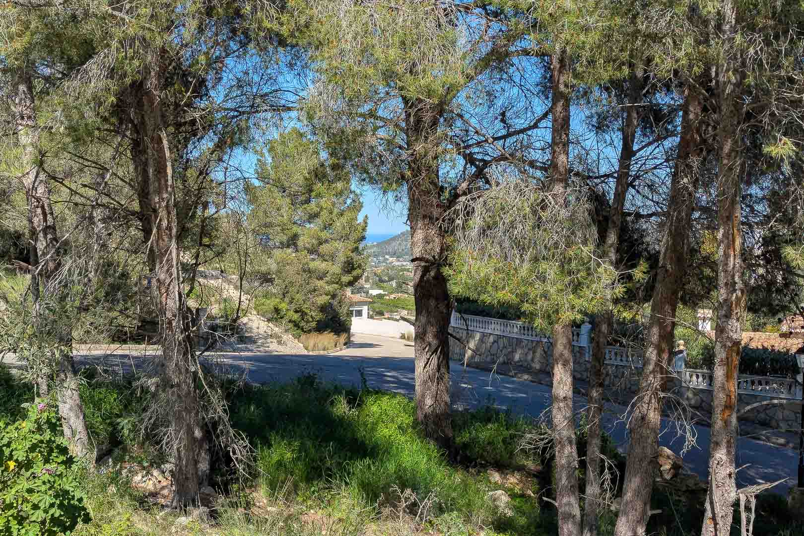 Panoramisch uitzicht vanaf het perceel door volwassen pijnbomen, met zicht op de natuurlijke omgeving en de toegangsweg met de zee in de verte.