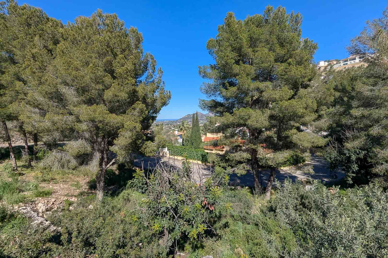 Panoramisch uitzicht vanaf het perceel in Monte Solana, omringd door volwassen pijnbomen en mediterrane vegetatie met de vallei en bergen in de verte.