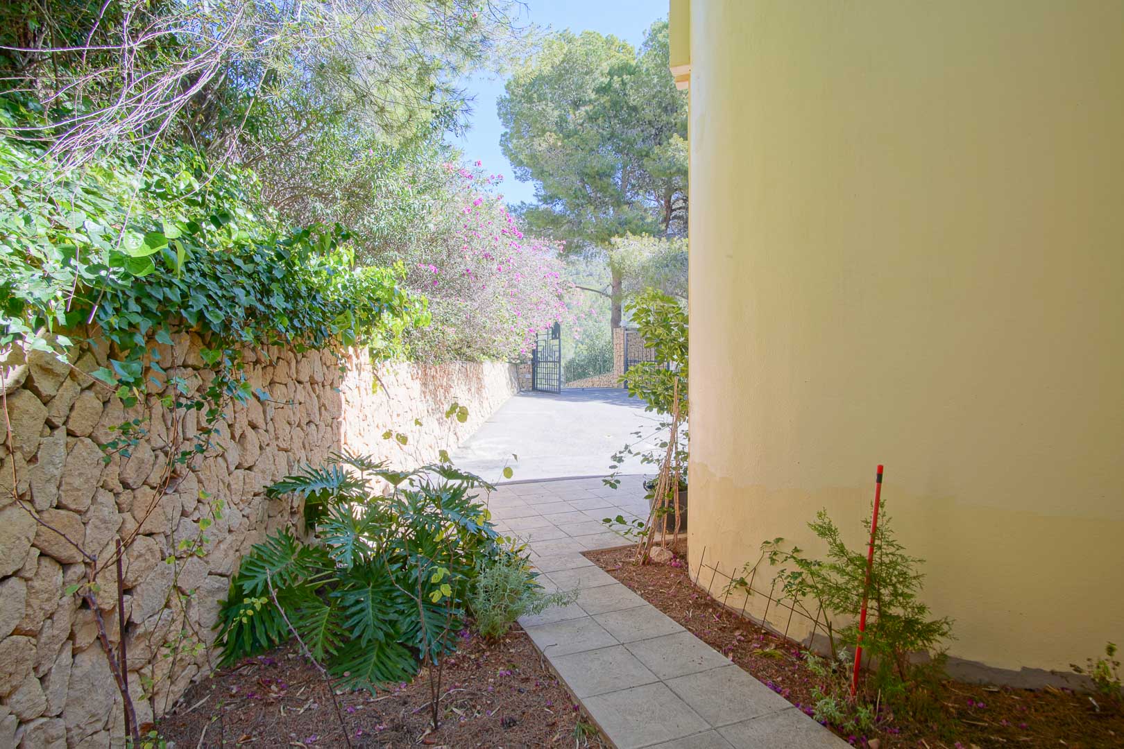 Geplaveid zijpad langs een natuurstenen muur en mediterrane beplanting, lopend langs de gebogen gele gevel van de villa richting de toegangspoort.