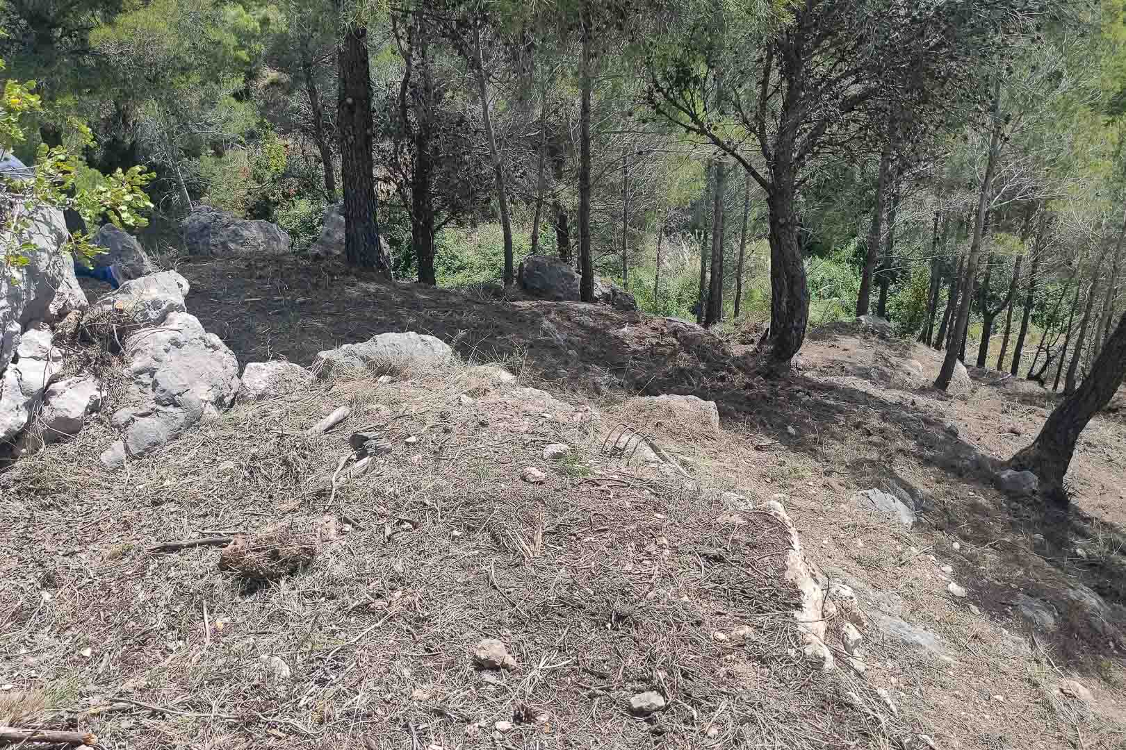 Natuurlijk hellend terrein met mediterrane pijnbomen en rotspartijen op het uitgestrekte perceel van de villa.