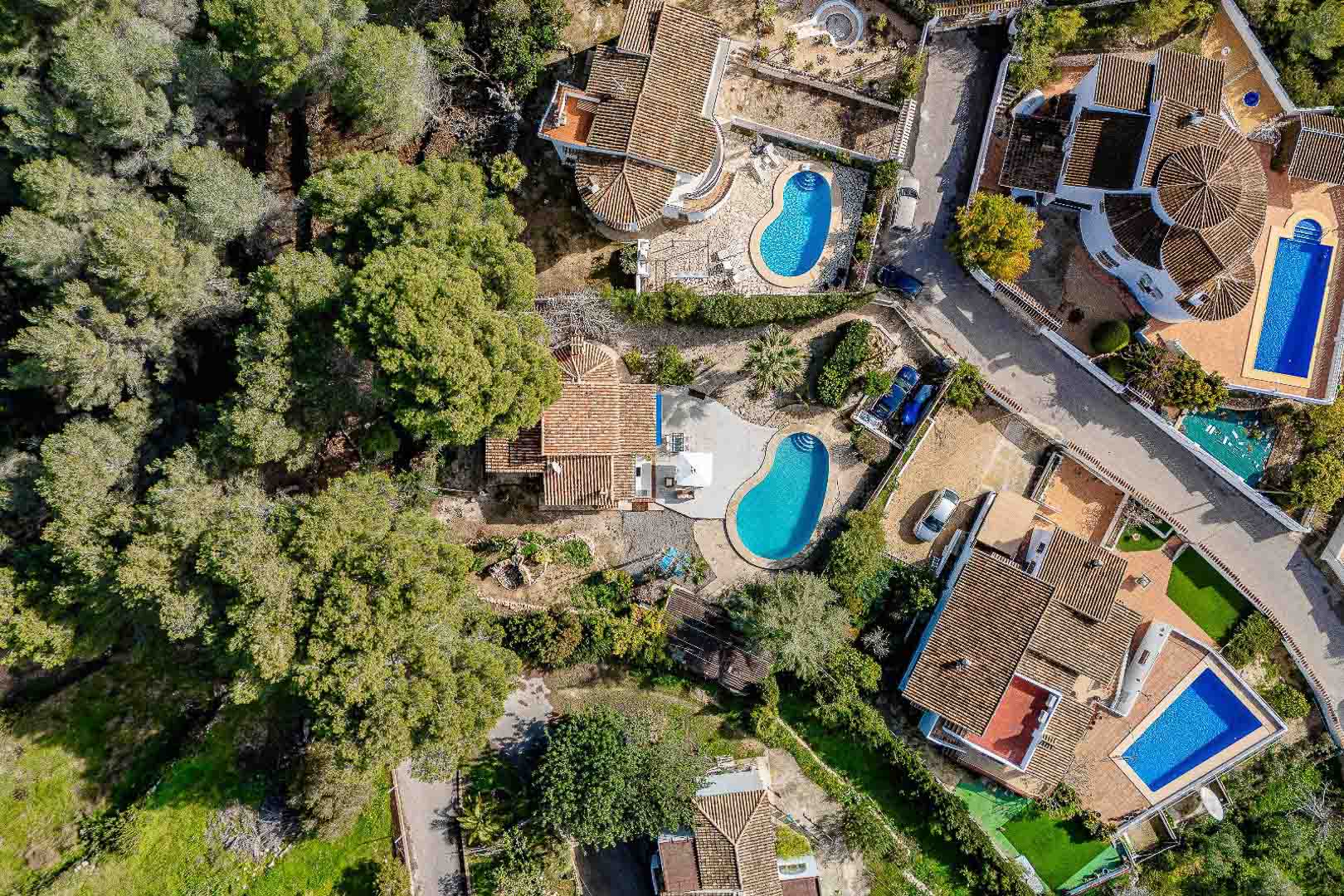 Luchtfoto van het perceel met mediterrane vegetatie, een niervormig privézwembad en traditionele architectuur met keramische dakpannen.
