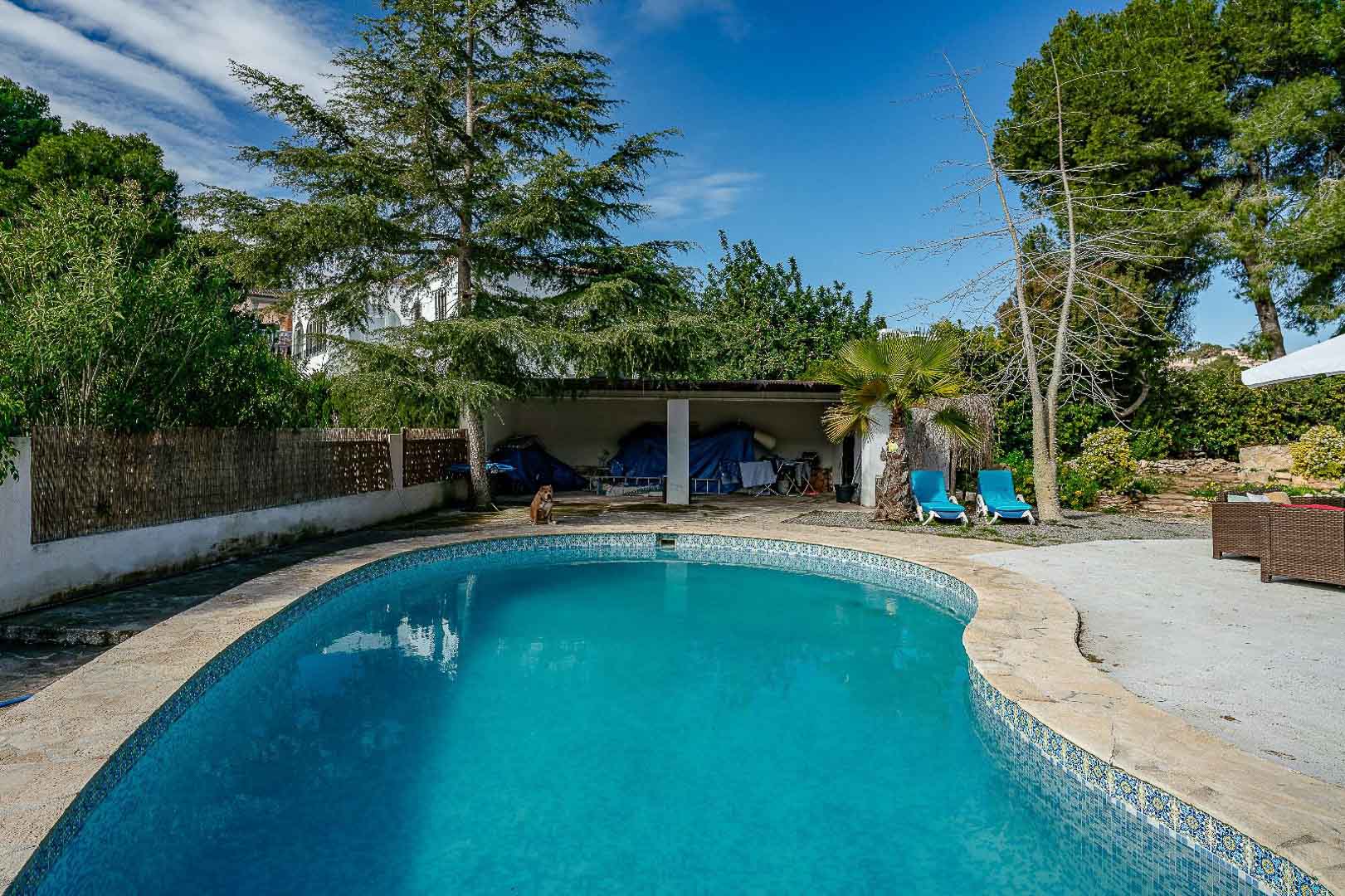 Privézwembad in niervorm met natuurstenen rand, omgeven door een ruim terras en volgroeide mediterrane beplanting voor optimale privacy.