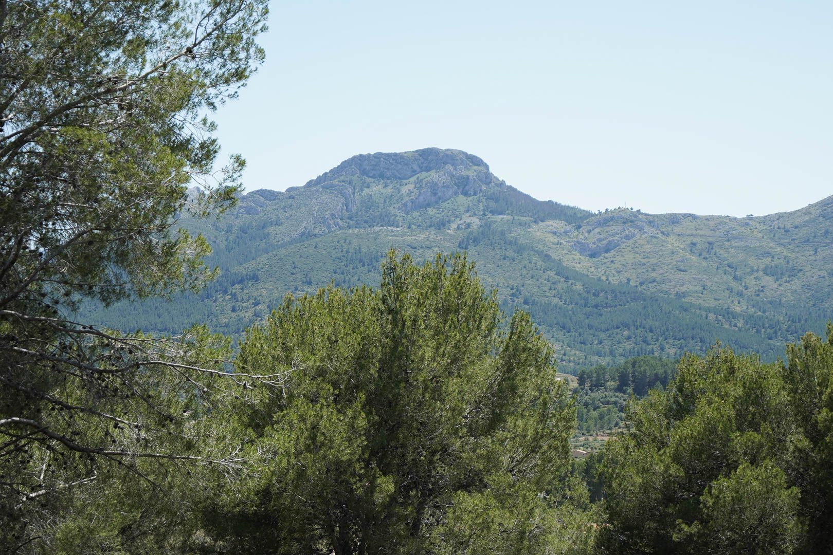 Panoramisch uitzicht op de bergen van de Jalón-vallei, met mediterrane vegetatie en pijnbomen die het hooggelegen gebied van Alcalalí omringen.