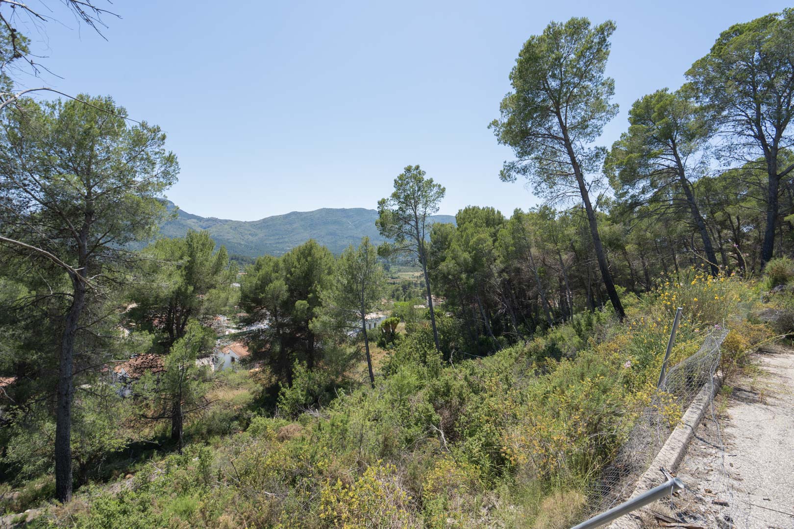 Panoramisch uitzicht vanaf de hooggelegen locatie in Alcalalí, omgeven door pijnbomen met vrij zicht op de Jalón-vallei en de omliggende bergen.