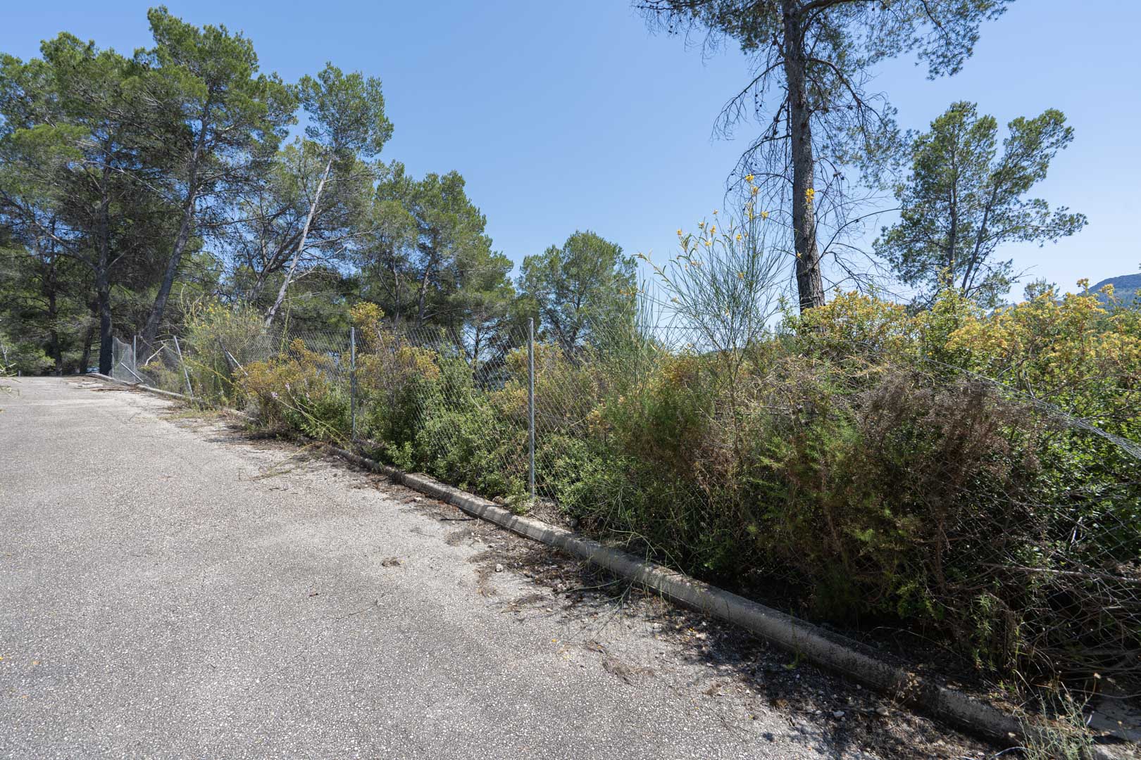 Geasfalteerde toegangsweg omzoomd door inheemse mediterrane vegetatie en volwassen pijnbomen, afgezet met een gaashekwerk onder een blauwe lucht.