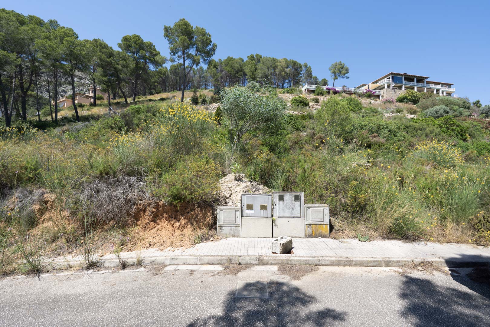 Hooggelegen bouwperceel in Alcalalí met aanwezige nutsvoorzieningen, omringd door pijnbomen en de natuurlijke begroeiing van de vallei.