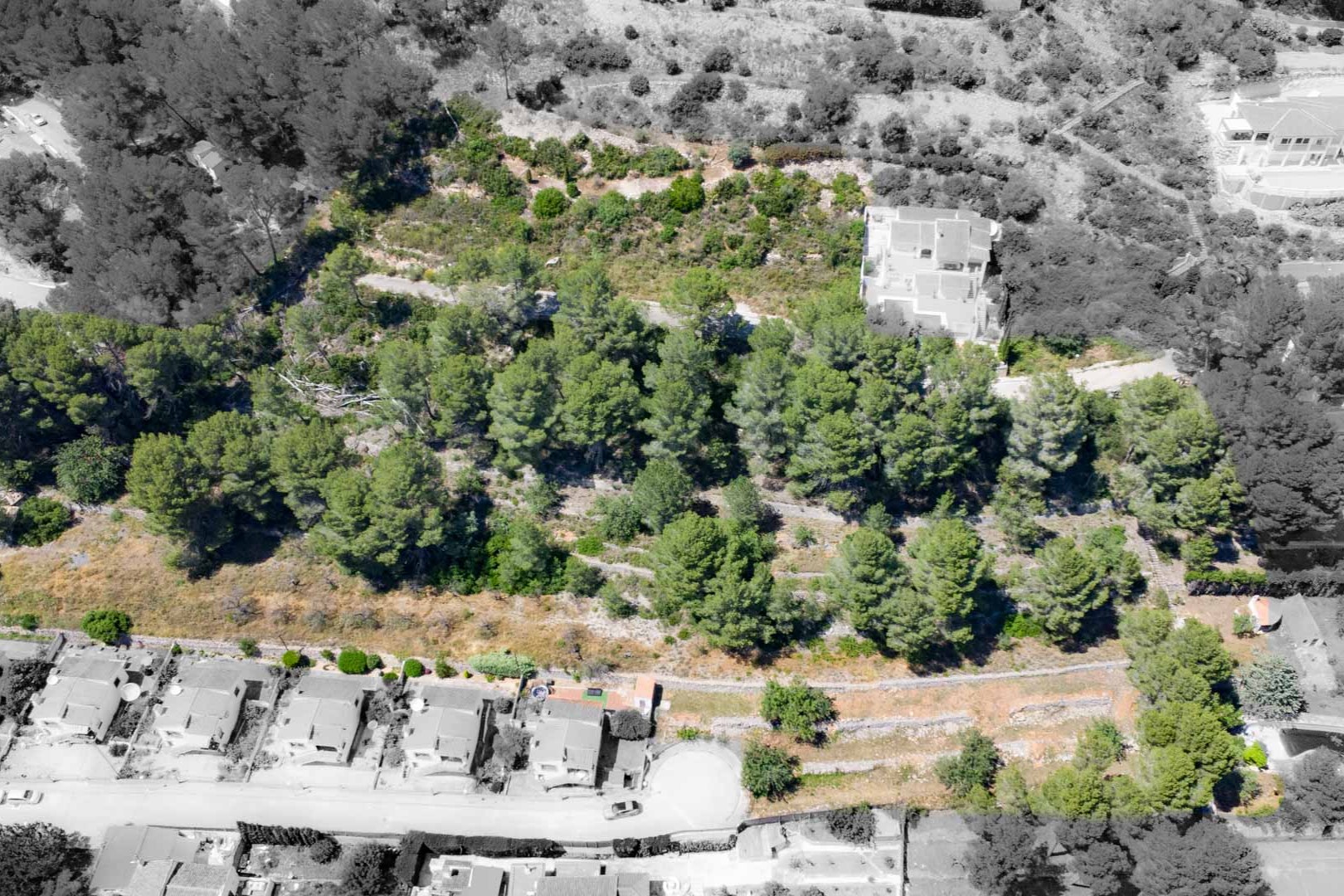 Luchtfoto van de hooggelegen percelen in Alcalalí, met terrasvormig terrein omgeven door pijnbomen en bestaande woningen in de Jalón-vallei.