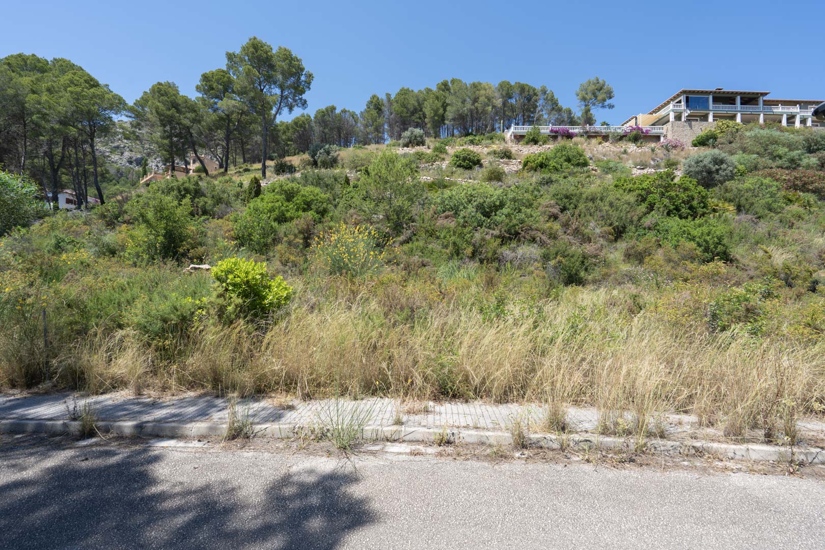 Verhoogd bouwperceel in Alcalalí met mediterrane begroeiing en verharde toegang, gelegen onder bestaande villa's met vrij uitzicht over de omgeving.