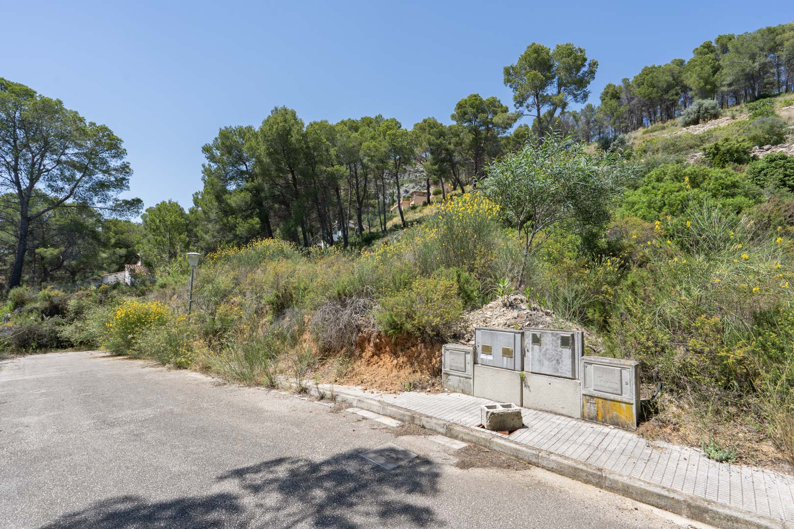 Verhoogd bouwperceel in Alcalalí met nutsvoorzieningen en geasfalteerde toegang, omgeven door pijnbomen en natuurlijke vegetatie.