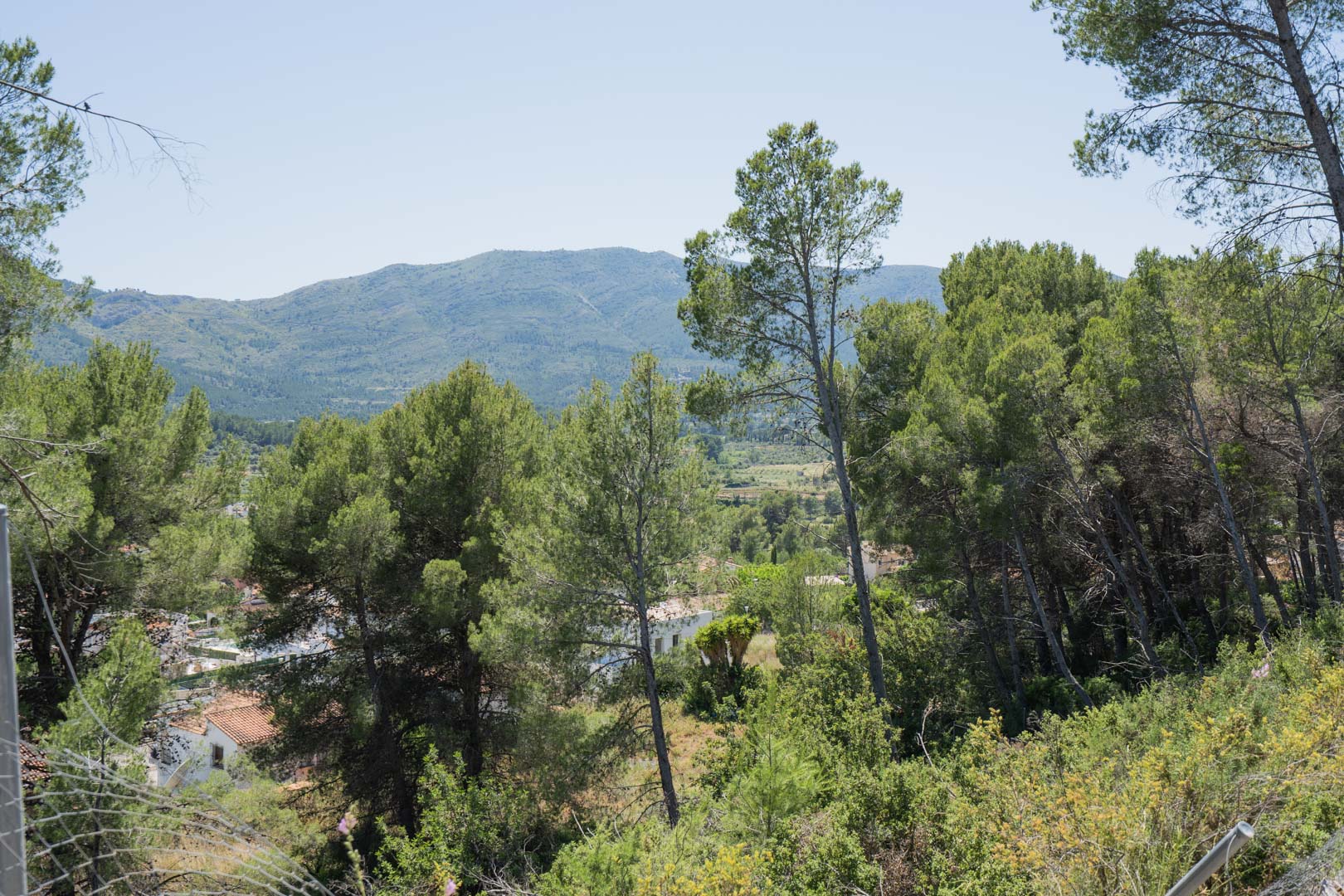 Verhoogd panoramisch uitzicht over de Jalón-vallei, omgeven door inheemse pijnbomen en een mediterraan landschap met bergen aan de horizon.