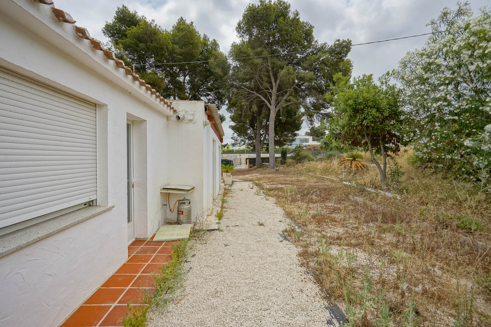 Buitenzicht van de bestaande witte villa met rolluiken, grindpad en een ruim perceel met volwassen pijnbomen en mediterrane beplanting.