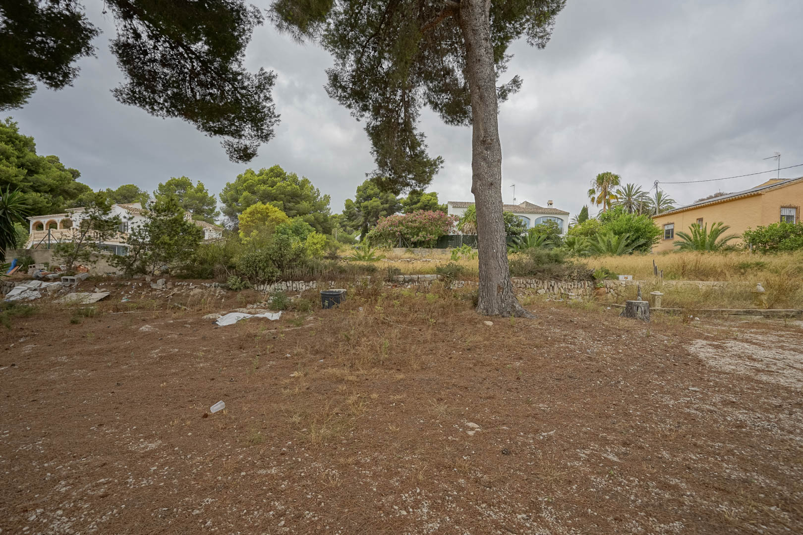 Zicht op het uitgestrekte vlakke perceel met volwassen pijnbomen, natuurstenen muurtjes en omliggende woningen.