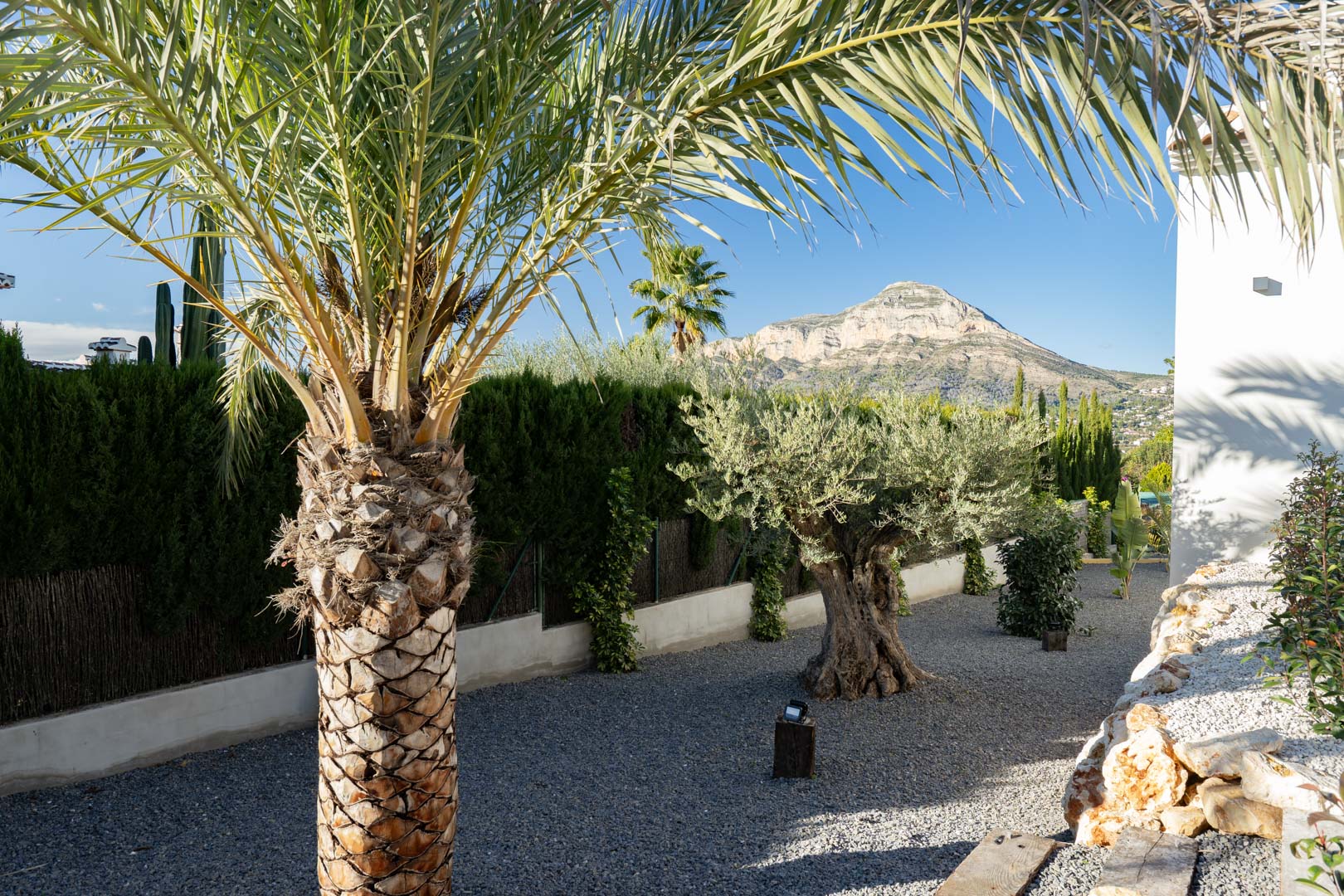 Mediterrane tuin met grind, palmboom en olijfboom, uitzicht op de bergen in Jávea.