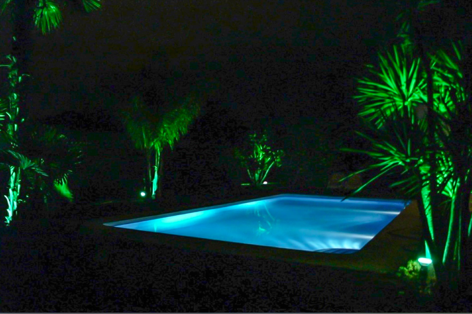 Buitenzwembad met blauwe onderwaterverlichting en omringende palmbomen die door groene spots worden geaccentueerd in een private nachtelijke setting.