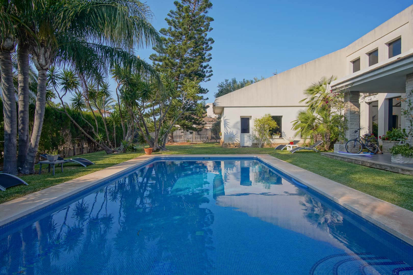 Rechthoekig zwembad met blauwe mozaïektegels, omgeven door een natuurlijk gazon en een mediterrane tuin met palmbomen en pijnbomen bij de witte villa.
