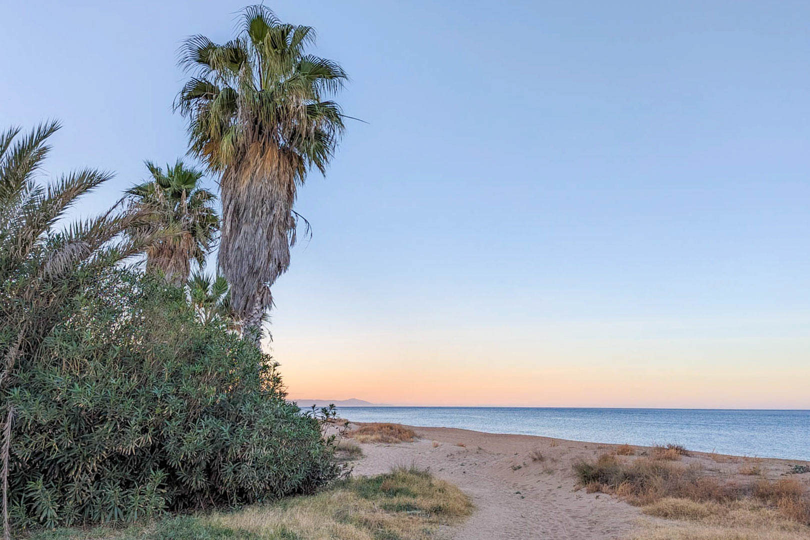 Uitzicht op het zandstrand met palmbomen en mediterrane struiken onder een zachte zonsondergang, gelegen op korte afstand van de villa in Dénia.