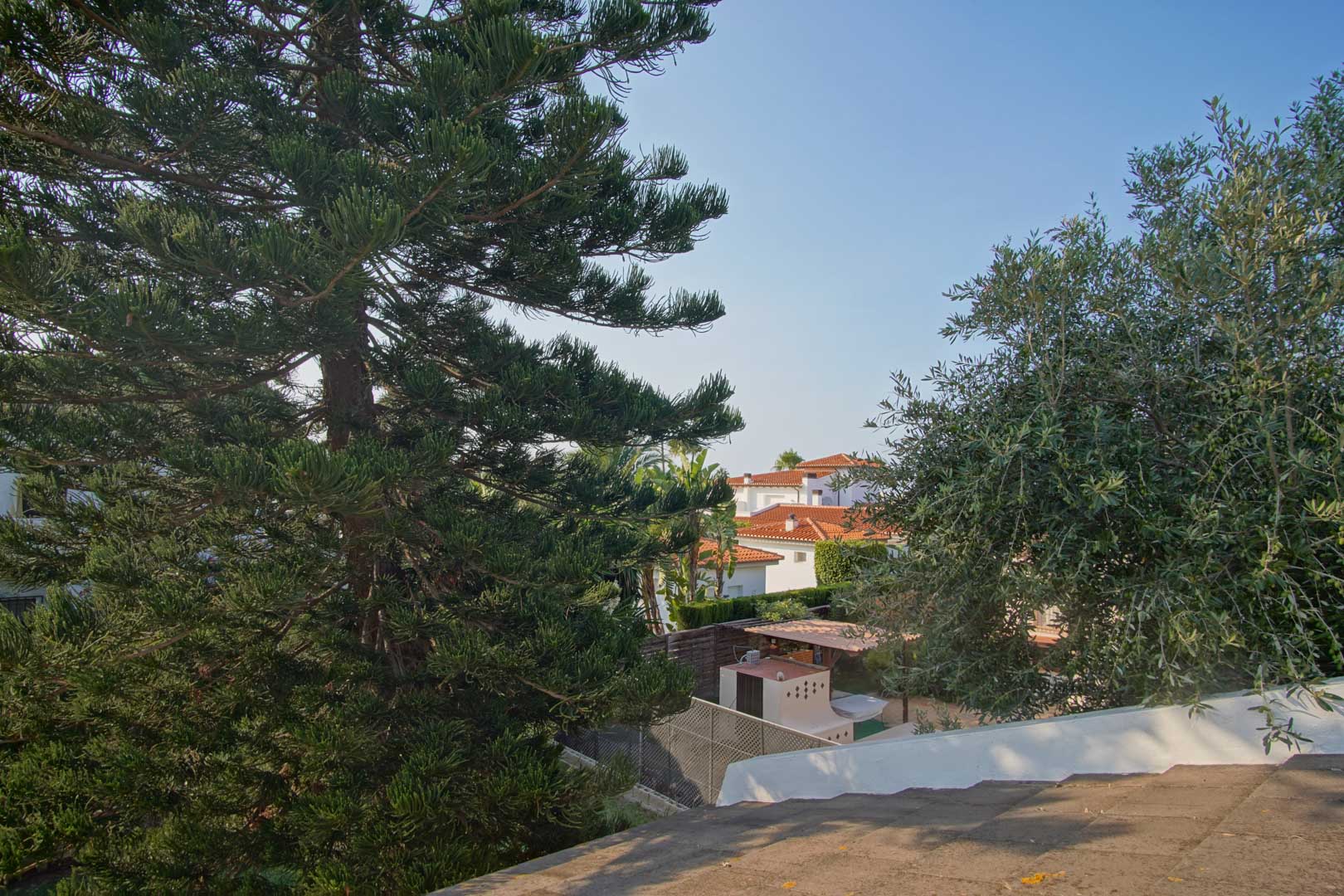 Verhoogd uitzicht vanaf het terras met volwassen mediterrane bomen en de terracotta daken van omliggende villa's onder een heldere hemel.