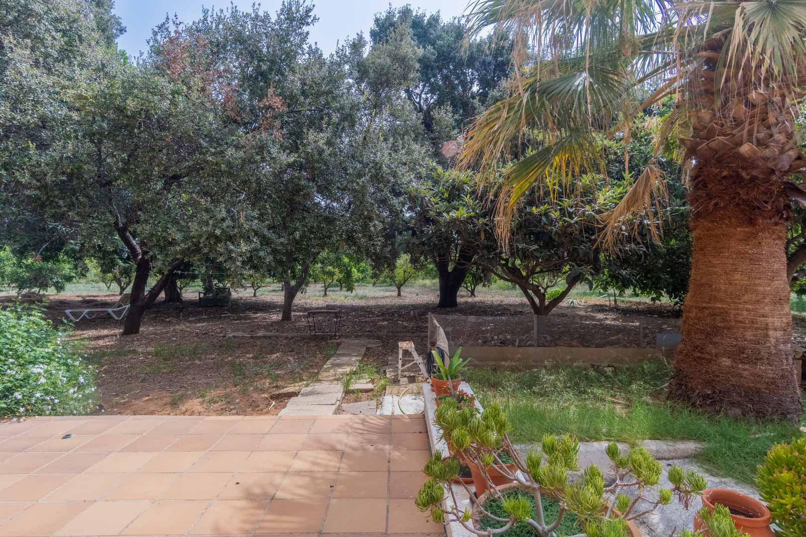 Rustiek betegeld terras met uitzicht op een ruim perceel met volwassen bomen. De tuin is voorzien van palmbomen, fruitbomen en een natuurlijk stenen pad.