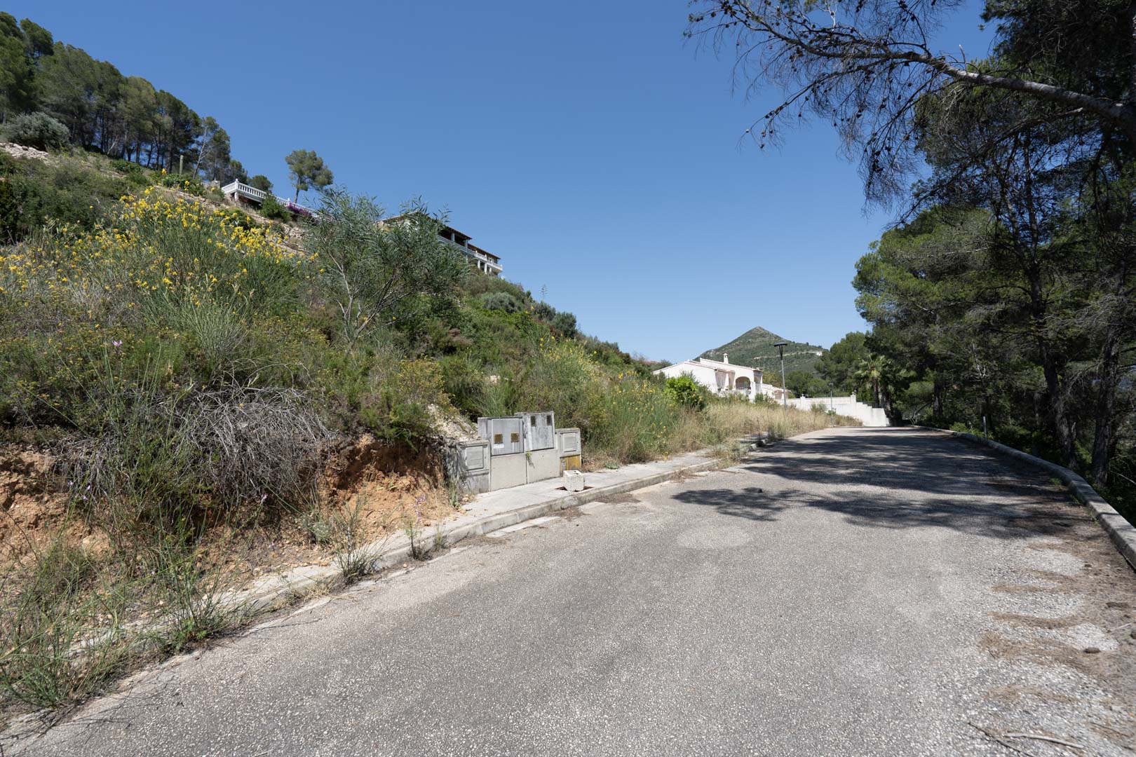 Geasfalteerde toegangsweg naar de hooggelegen bouwpercelen in Alcalalí, omgeven door mediterrane natuur en reeds geïnstalleerde nutsvoorzieningen.