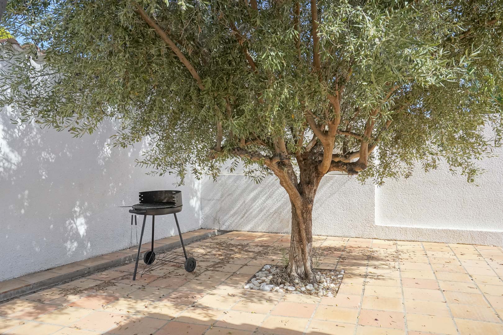 Schaduwrijke hoek in de mediterrane tuin met een volwassen olijfboom, terracotta tegelvloer en een draagbare barbecue tegen witte gestuukte muren.