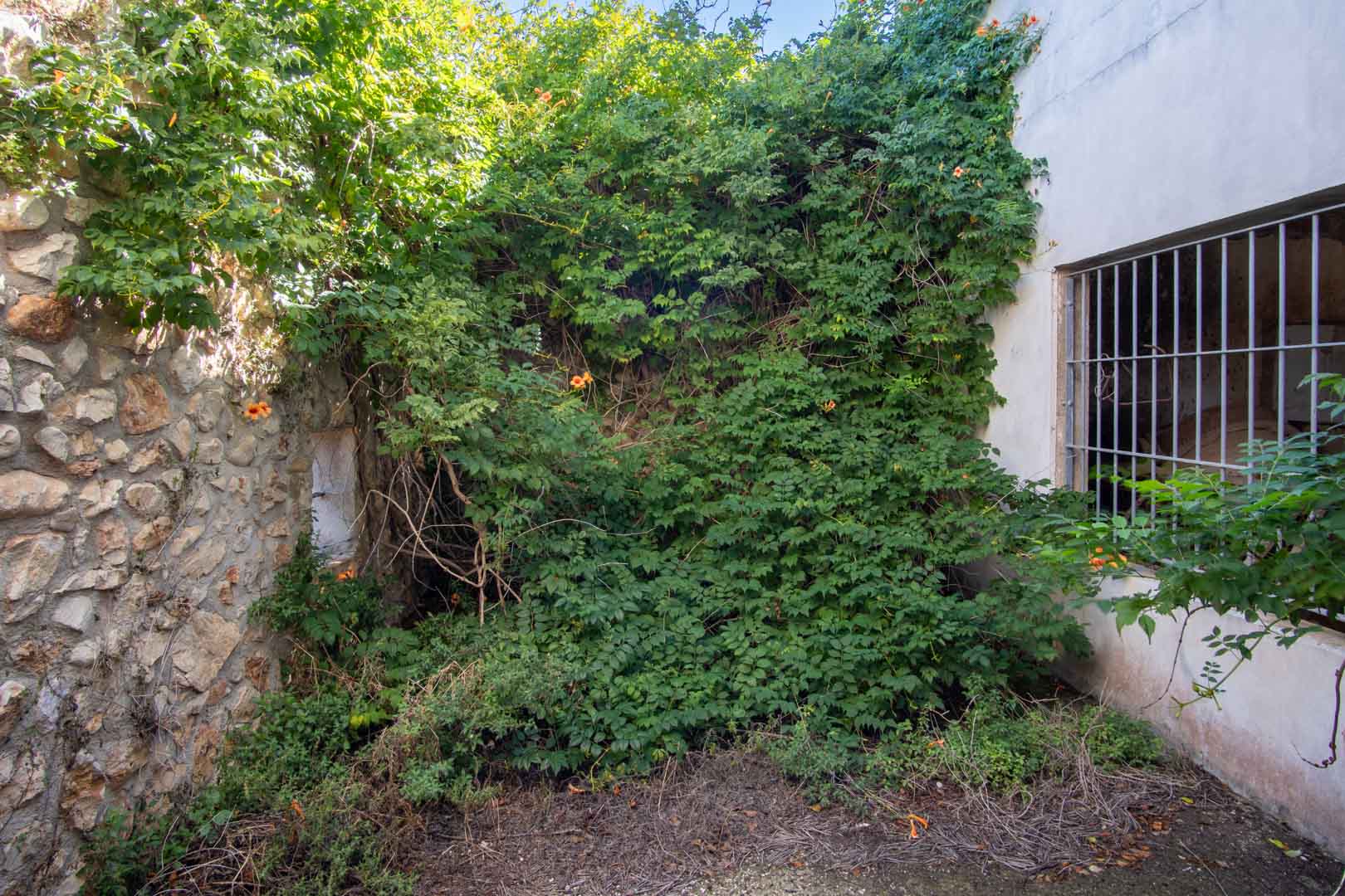 Buitengevel met een combinatie van natuurstenen muren en wit pleisterwerk, voorzien van een raam met tralies en weelderige klimplanten.