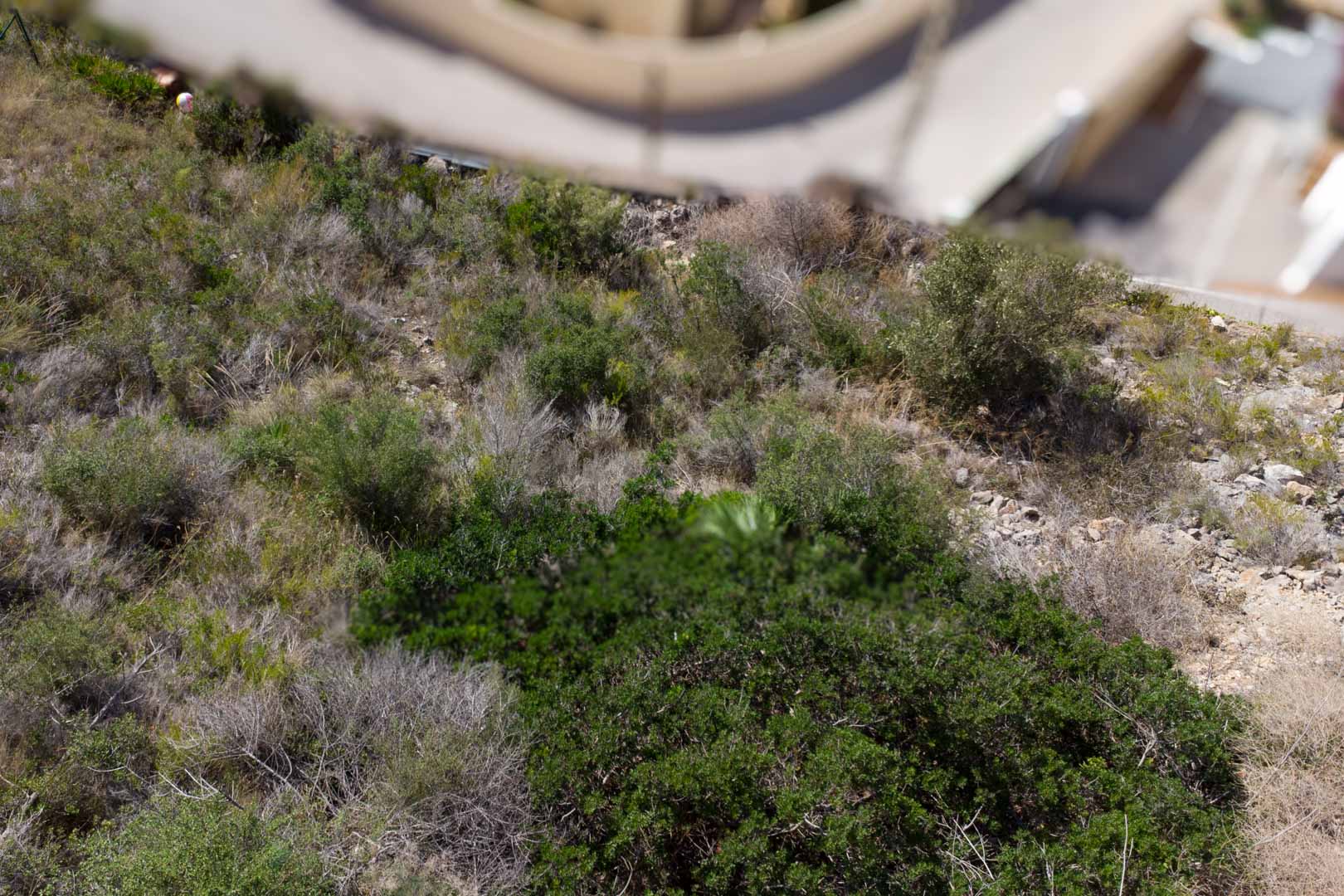 Zicht op het hellende perceel met natuurlijke mediterrane begroeiing en rotsachtige bodem, grenzend aan een geasfalteerde woonwijk.