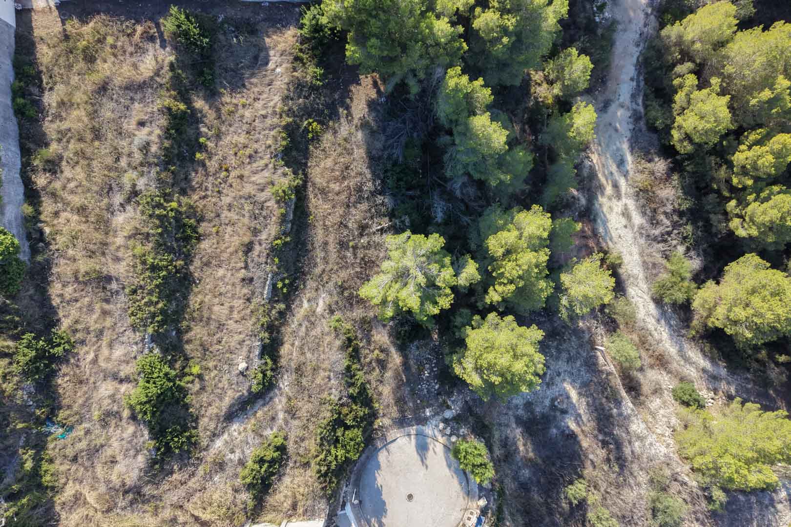 Luchtfoto van het bouwperceel met terrasvormig terrein, natuurstenen muren en karakteristieke mediterrane pijnbomen.