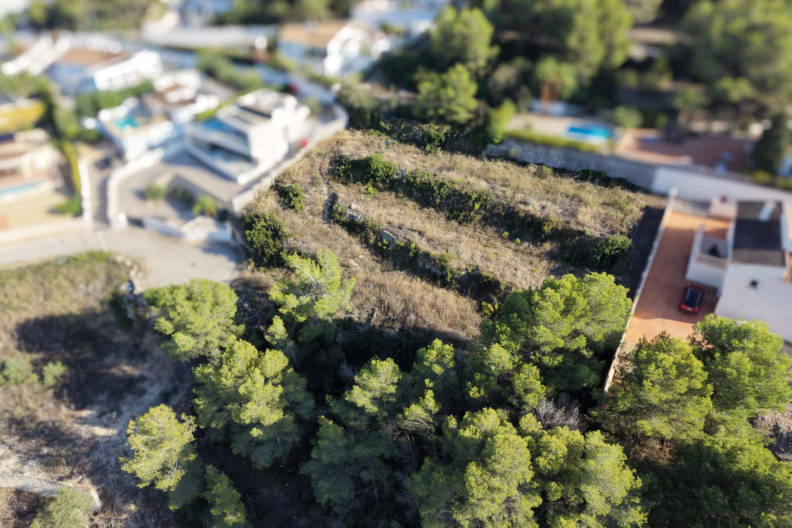 Luchtfoto van het terrasvormige bouwperceel in Moraira, met stenen muren, mediterrane pijnbomen en omliggende residentiële villa's.
