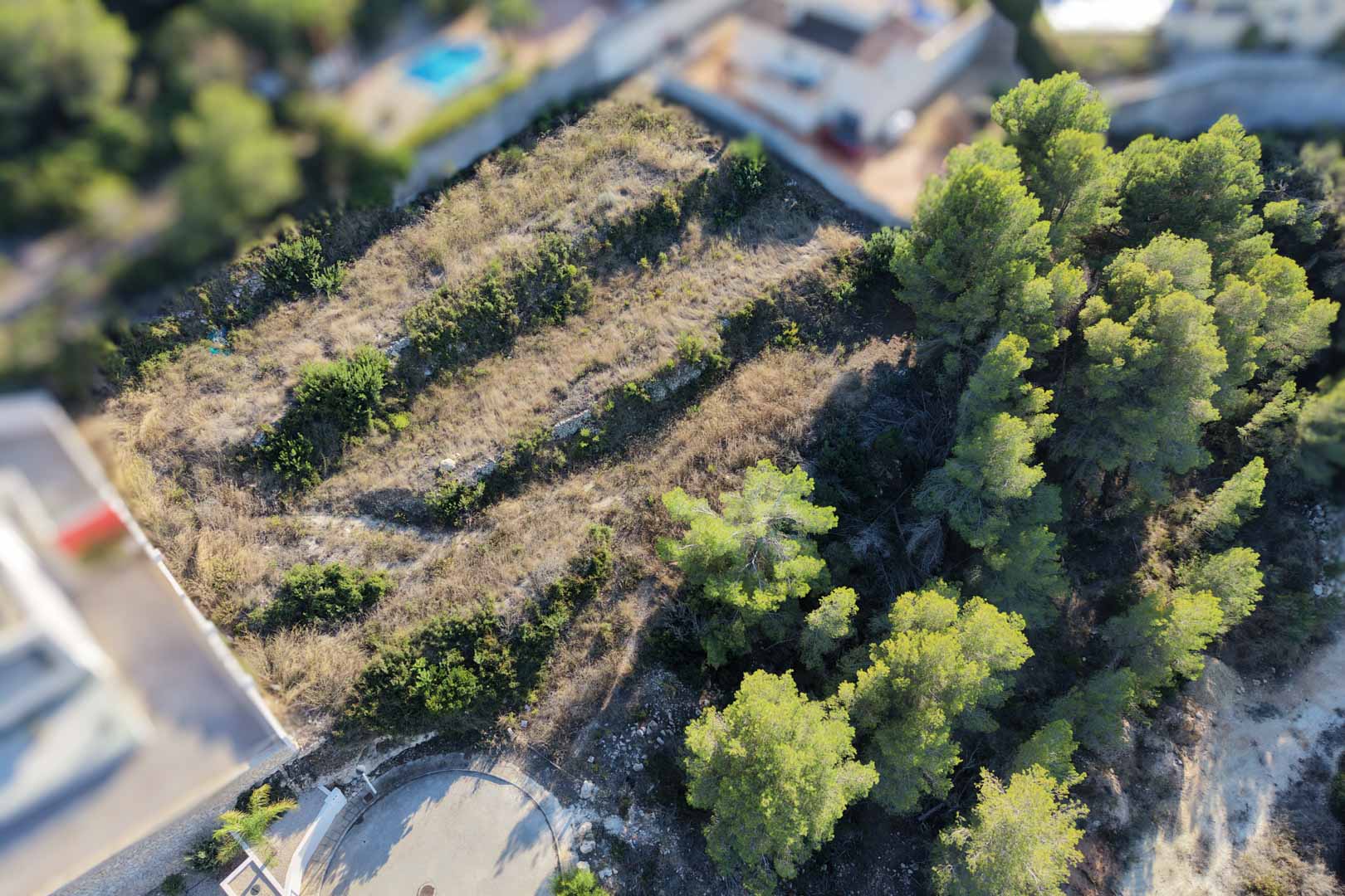 Luchtfoto van het terrasvormige bouwperceel met natuurstenen muren, mediterrane pijnbomen en natuurlijke begroeiing in een rustige woonwijk in Moraira.