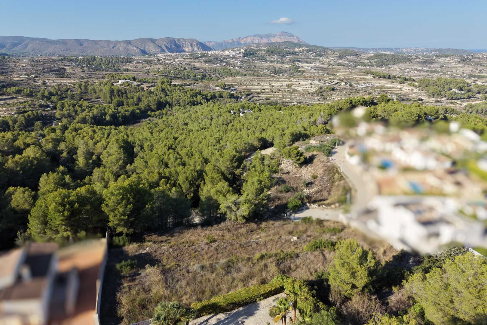 Verhoogd uitzicht vanaf het perceel over een dicht dennenbos en verre bergketens. Het landschap toont mediterrane terrassen en een heldere blauwe lucht.