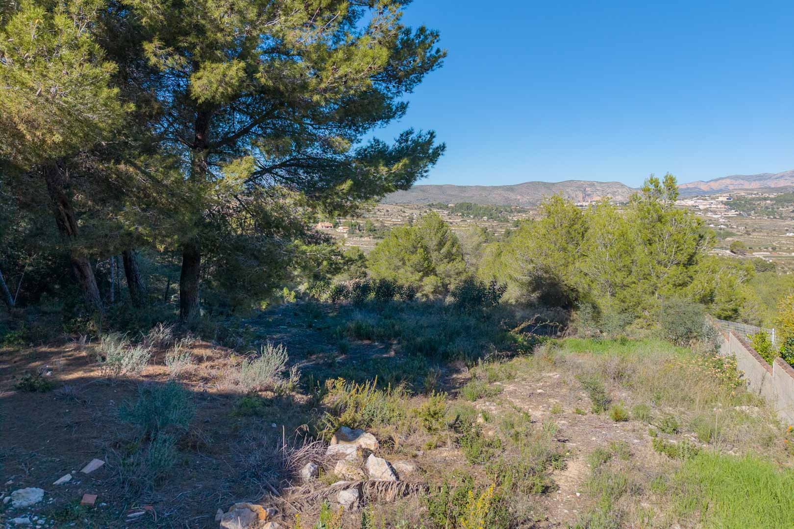 Bouwperceel in Benimeit met volwassen pijnbomen en vrij uitzicht over de vallei naar de bergen. Natuurlijk terrein met inheemse vegetatie onder een heldere hemel.