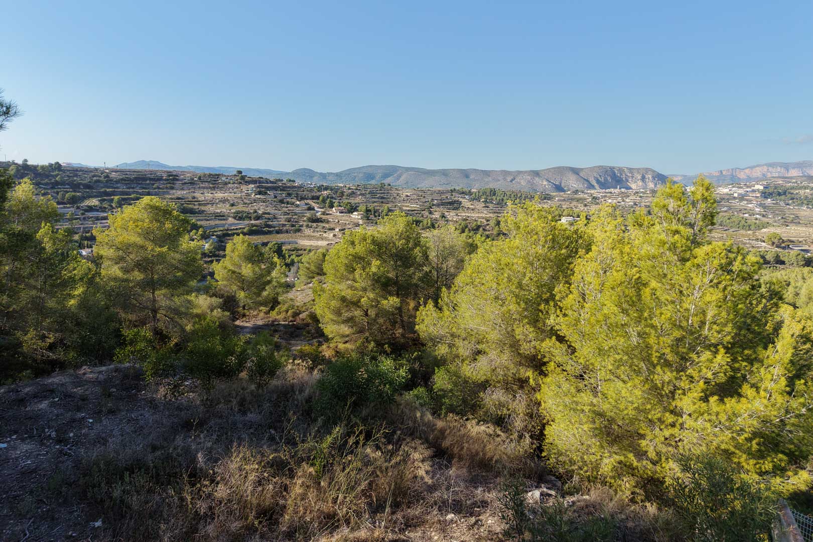 Panoramisch uitzicht vanaf het perceel over de vallei en de bergen, met inheemse dennenbomen en traditionele terrassen in een natuurlijke omgeving.