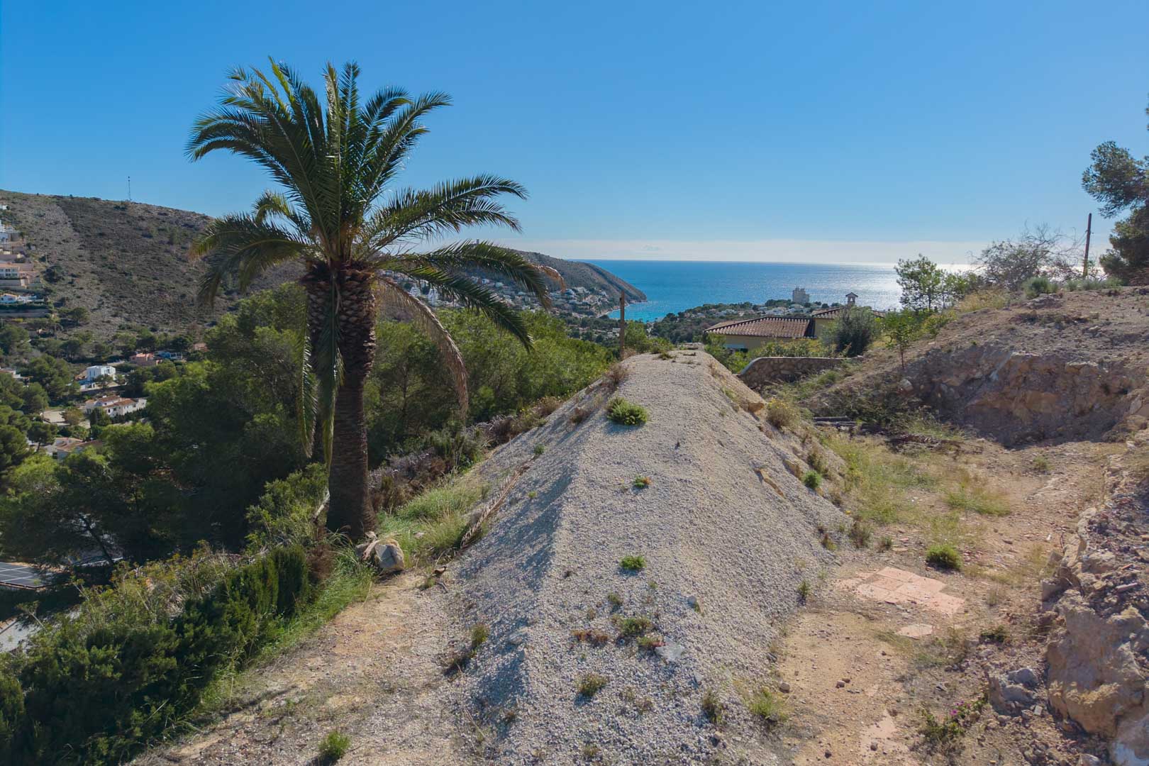 Panoramisch uitzicht vanaf het hooggelegen perceel op de baai van El Portet, met een palmboom en de Middellandse Zee onder een heldere hemel.