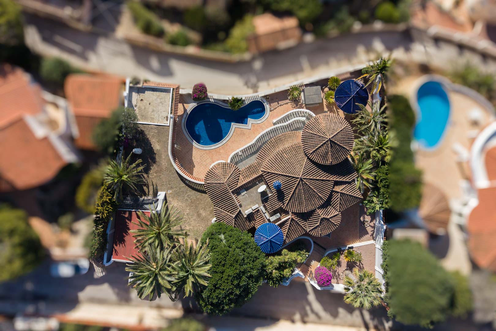 Luchtfoto van de villa met cirkelvormige daken, een organisch gevormd zwembad en terrassen omgeven door palmbomen en mediterrane vegetatie.