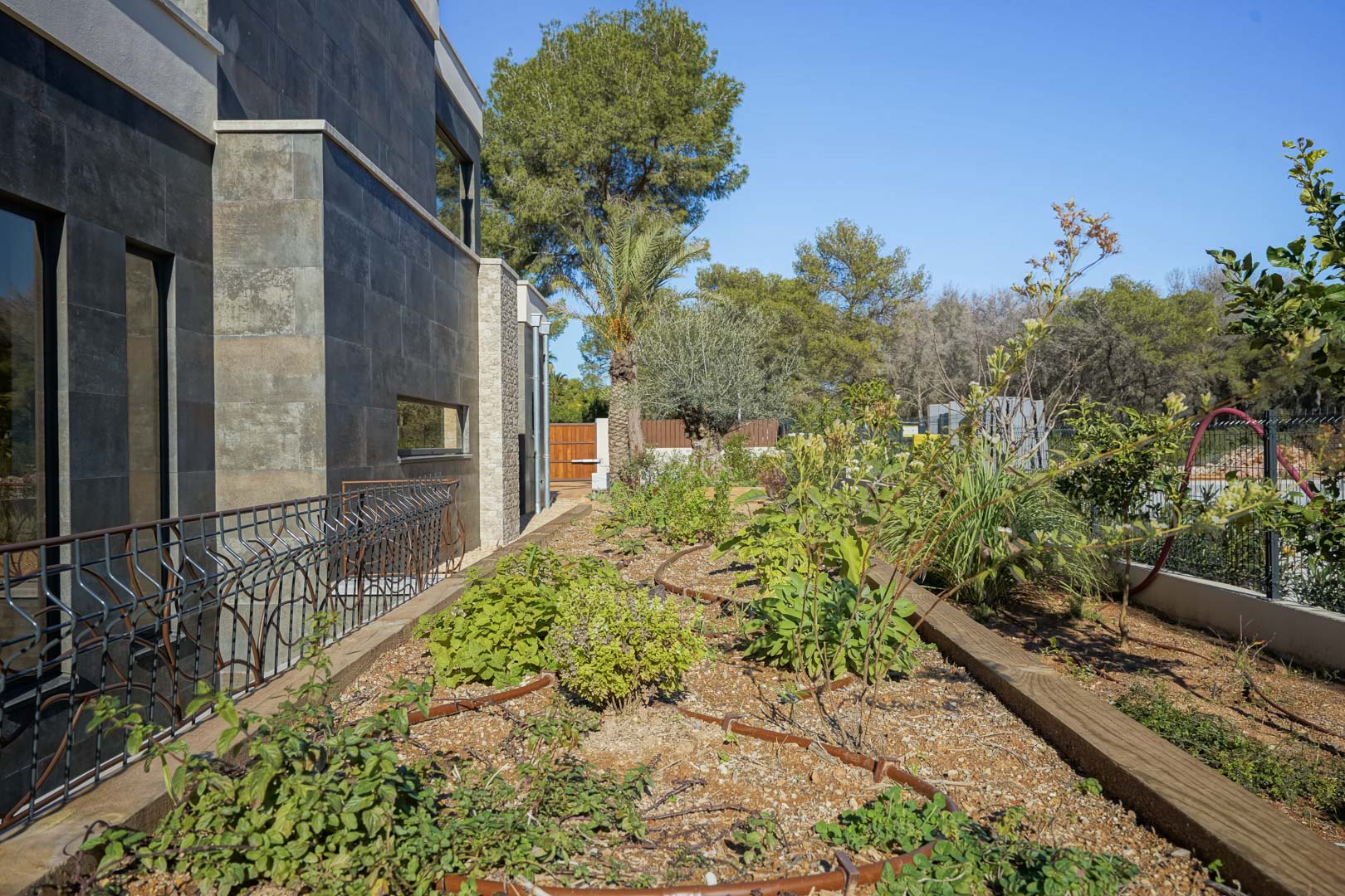 Moderne gevel met donkere steenstrips grenzend aan een mediterrane tuin met druppelirrigatiesysteem en diverse kruiden en planten.