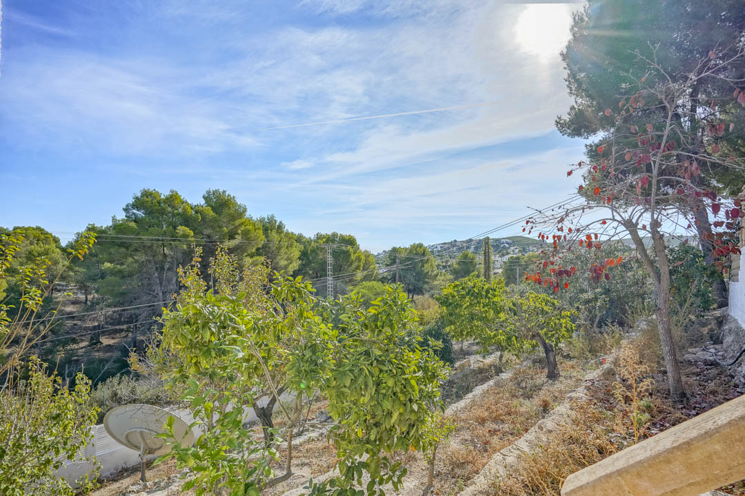 Vrij uitzicht vanaf het perceel over een natuurlijk dennenbos en verre heuvels, met mediterrane fruitbomen en veel invallend natuurlijk licht.
