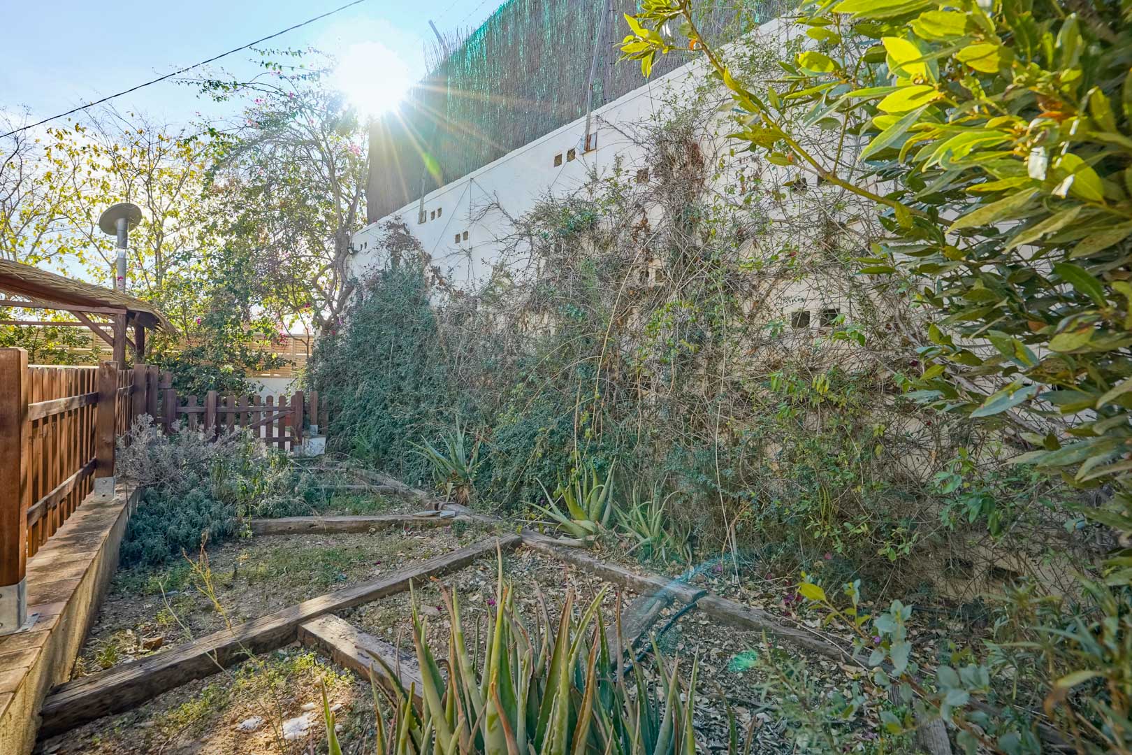 Tuingedeelte met houten balken die de plantenbakken markeren, aloë vera-planten en klimplanten tegen een hoge witte buitenmuur in de volle zon.