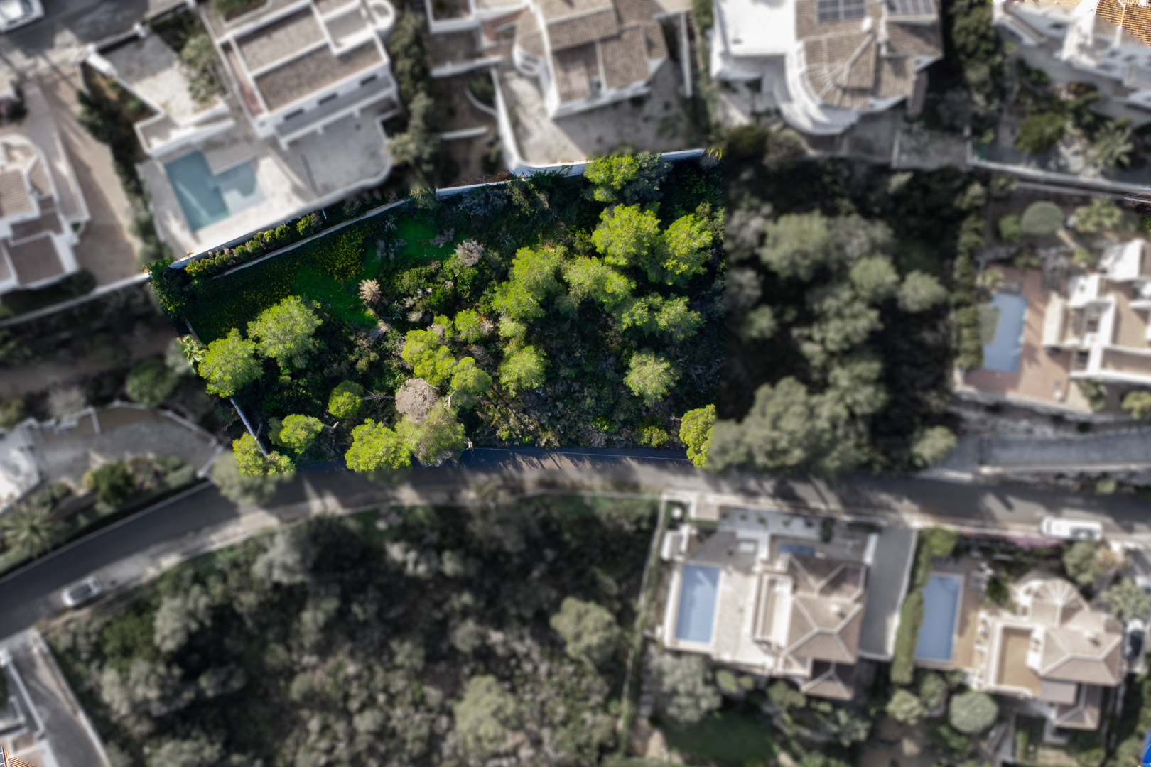 Bovenaanzicht van het perceel van 1521 m2, met de nadruk op de dichte begroeiing van pijnbomen en de ligging tussen bestaande villa's in Jávea.